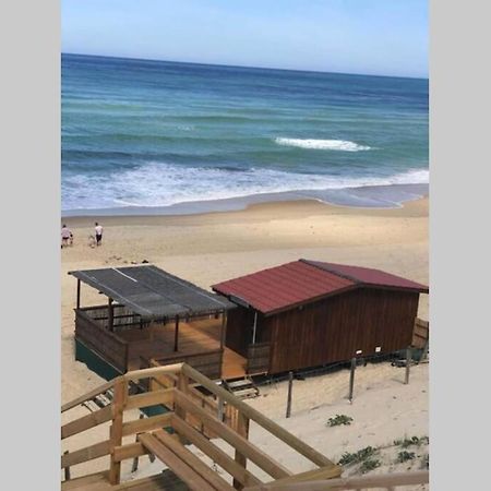 Maison A 300M De La Plage, Quartier Calme Mimizan-Plage Exteriér fotografie