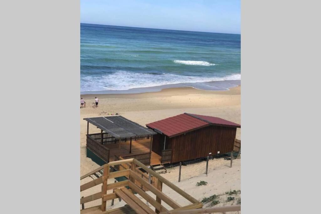 Maison A 300M De La Plage, Quartier Calme Mimizan-Plage Exteriér fotografie