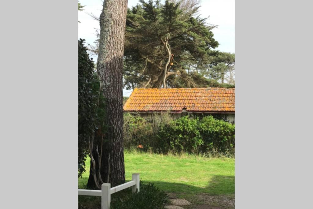 Maison A 300M De La Plage, Quartier Calme Mimizan-Plage Exteriér fotografie