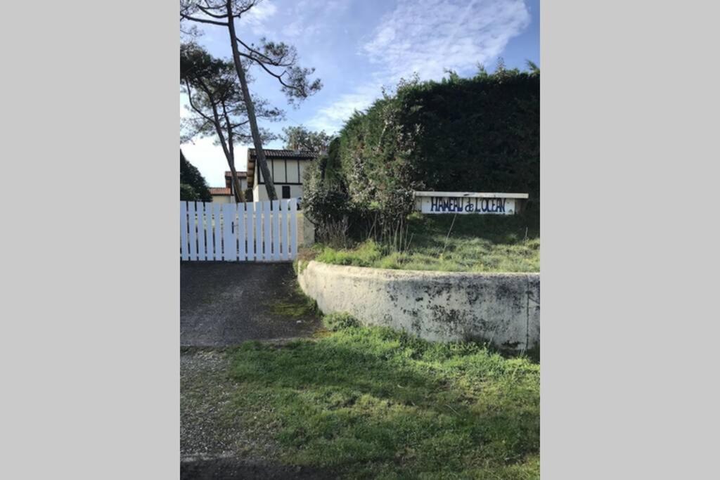 Maison A 300M De La Plage, Quartier Calme Mimizan-Plage Exteriér fotografie